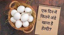 अंडे सेहत के लिए फायदेमंद लेकिन ज्यादा खाने से हो सकते हैं गंभीर नुकसान, जानें एक दिन में कितने Eggs खाना है हेल्दी
