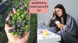 बार-बार पड़ जाते हैं बीमार, पूरे शरीर में रहता है दर्द और अपच से भी हैं परेशान? कई बीमारियों का एक इलाज है ये छोटा सा फल, जानें कैसे करें सेवन