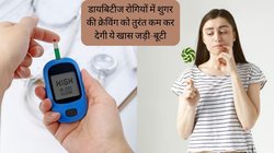 डायबिटीज मरीज 5 सेकंड जीभ पर रख लें ये खास जड़ी-बूटी, तुरंत कंट्रोल हो जाएगी शुगर की क्रेविंग, आयुर्वेद से जानें फायदे