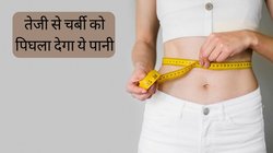 Barley Water for Weight Loss: बढ़ते पेट को कम करने के लिए 21 दिन पी लें इस बीज का पानी, जिम और डाइटिंग की नहीं पड़ेगी जरूरत, जानें बनाने का तरीका