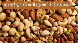 बासी मुंह इस एक ड्राई फ्रूट को खाने से सेहत को मिलते हैं कई जादुई फायदे, कब्ज और मोटापे से परेशान लोग आज ही बना लें रूटीन का हिस्सा