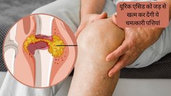 यूरिक एसिड को जड़ से खत्म कर देंगी ये चमत्कारी पत्तियां, जोड़ों में आ जाएगी नई जान, बस जान लें सेवन का तरीका