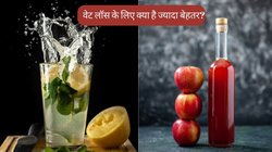 Apple Cider Vinegar VS Lemon Juice: सेब का सिरका या नींबू पानी, वेट लॉस के लिए क्या है ज्यादा बेहतर?
