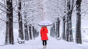 Winter Tourism । snowfall in December । Top 5 Snowfall Places । Places In India To Witness Snowfall