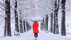 2023 को बनाना चाहते हैं यादगार तो दिसंबर में छुट्टी लेकर घूम आइए ये जगहें, स्नोफॉल और खूबसूरत नजारों को हमेशा रखेंगे याद