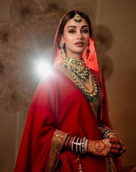 Aditi Arya marriage