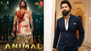 Animal Vs Sam Bahadur Box Office Prediction