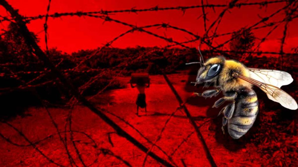 BEE in Border