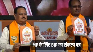 BJP Sankalp Patra