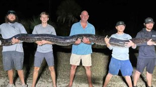Bog Python