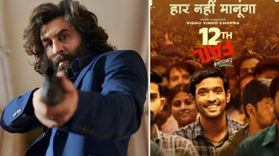 Bollywood News/ Trending News/ Entertainment News