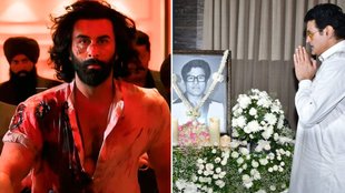 Bollywood News/ Trending News/ Entertainment News