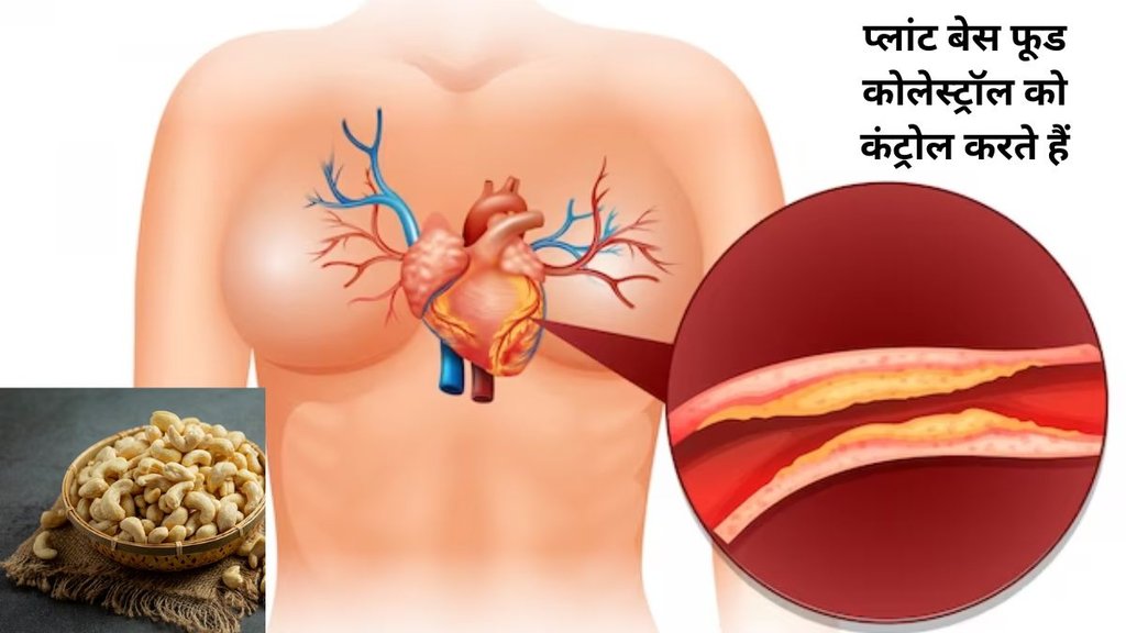 tips to eat cashews, dry fruits health benefits, kaju khane ke fayde,रातभर पानी में भिगोकर खाएं यह पावरफुल ड्राई फ्रूट, कोलेस्ट्रॉल का होगा खात्मा,