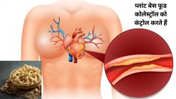 क्या काजू खाने से Cholesterol बढ़ता है? क्या ये हेल्दी नट दिल के रोगों को बढ़ा सकता है? एक्सपर्ट से जानिए