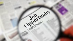 DSSSB Recruitment 2023: दिल्ली अधीनस्थ सेवा चयन बोर्ड ने इन पदों के लिए निकाली बंपर भर्ती, जानिए आवेदन करने की अंतिम तिथि