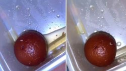 खाने के लिए खरीदा गुलाब जामुन, रेंग रहा था कीड़ा; देखिए वीडियो