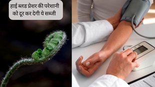 Fiddlehead । Fiddlehead Benefits । Health News