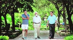 दुनिया मेरे आगे: सुबह की वेला और पैदल सैर करने की आदत, बढ़ाती है कार्यक्षमता और कुशलता की रफ्तार