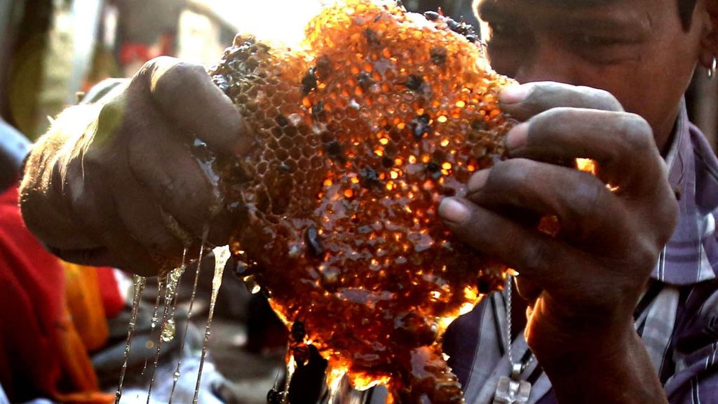 saharanpur honey,honey price, australia honey