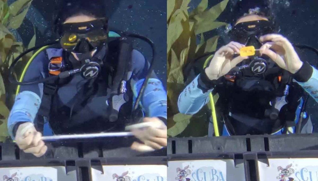 Scuba diver world record