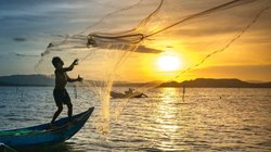 पाकिस्तानी मछुआरे को मिली ऐसी मछली, रातोंरात बन गया करोड़पति