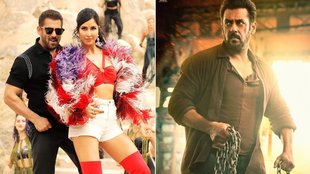 Tiger 3 Box Office | Tiger 3 Box Office Collection Day 5 | Salman Khan