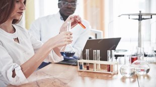 Transparency| experiment