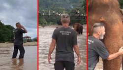 Viral Video: महीने बाद ‘दोस्तों’ से मिलने पहुंचा शख्स, आवाज सुनते ही दौड़ा चला आया हाथियों का झुण्ड