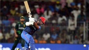 World Cup 2023 | Afghanistan | Hashmatullah Shahidi