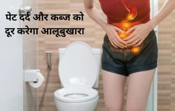 1 हफ्ते तक इस जादुई फल को खा लें, क्रोनिक कब्ज़ का भी हो जाएगा इलाज, आंत की गंदगी भी होगी साफ