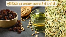 कुछ भी खाने से पेट में बनता है भयंकर तेजाब, आयुर्वेद अप्रूव्ड इन 3 नेचुरल फूड्स का करें सेवन, हाइपरएसिडिटी हो जाएगी छूमंतर