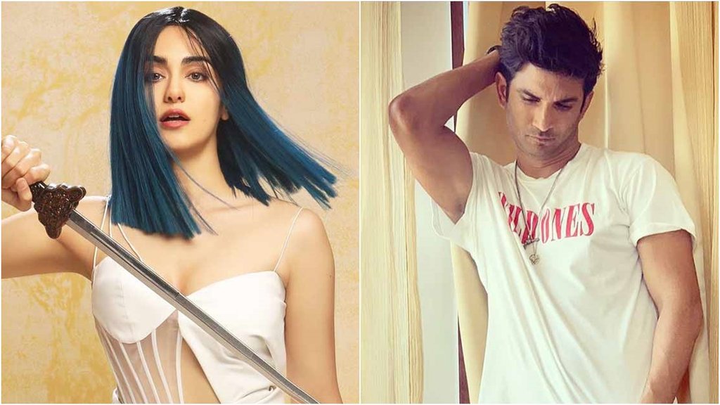 adah sharma, sushant singh rajput