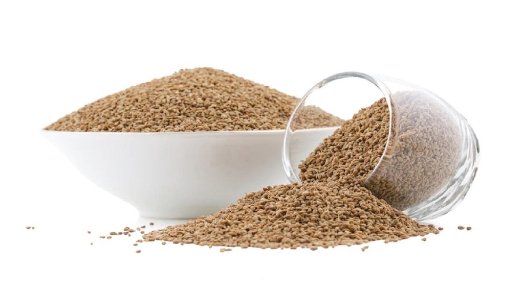 ajwain festive season, ajwain benefits, ajwain health benefits,अजवाइन के सेहत के लिए फायदे,अजवाइन कैसे सेहत के लिए फायदेमंद है