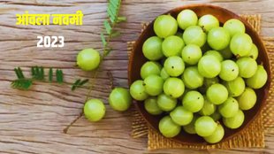 amla navami 2023 akshaya navami vrat date 2023