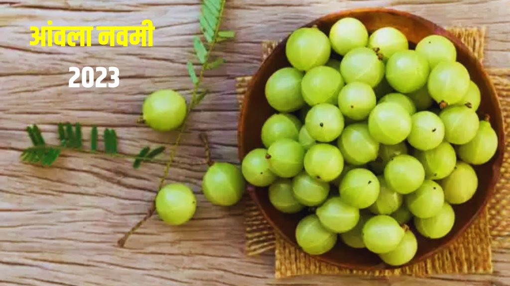 amla navami 2023 akshaya navami vrat date 2023