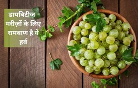 gooseberry benefits, how many amla to eat in a day, amla nutrition, when to eat amla, सुबह खाली पेट आंवला खाने के फायदे, आंवला खाने का सही समय