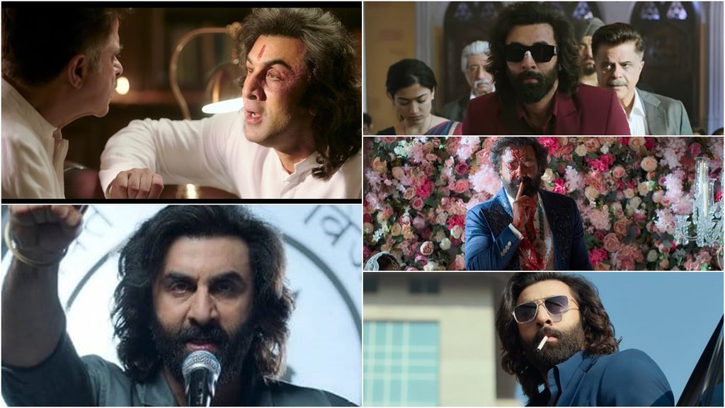 animal, bollywood, ranbir kapoor