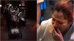 bigg boss 17, bollywood
