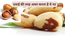 सभी दुखों और दर्द की दवा है ये खास नट, रोजाना खाएं कभी बीमार नहीं पड़ेंगे, बीपी,शुगर और थायराइड से रहेंगे महफूज़