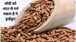 सर्दी में बॉडी को गर्मी की मशीन बना देगा यह ड्राई फ्रूट, आधी मुट्ठी से डायबिटीज और वायरल इंफेक्शन भी कंट्रोल, ऐसे करें सेवन