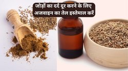 दर्द का दुश्मन है अजवाइन का तेल, जोड़ों के दर्द का करता है इलाज, गाउट के मरीज कर सकते हैं सेवन
