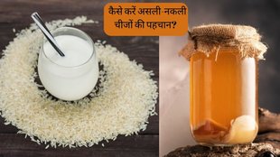 how to check purity of ghee । how to check purity of Milk । Diwali 2023