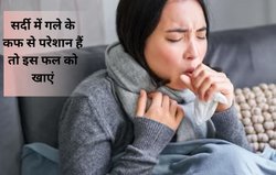 सर्दी में हर शख्स की है यह परेशानी, कफ से गला हो जाता है जाम, आचार्य बालकृष्ण ने बताया बीमारी का अचूक नुस्खा
