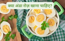 nutrients in eggs, Egg khane ke kya hain nuksan,अंडे का कितना सेवन करना चाहिए, अंडे के फायदे और नुकसान, कितने अंडे का सेवन एक दिन में करना चाहिए