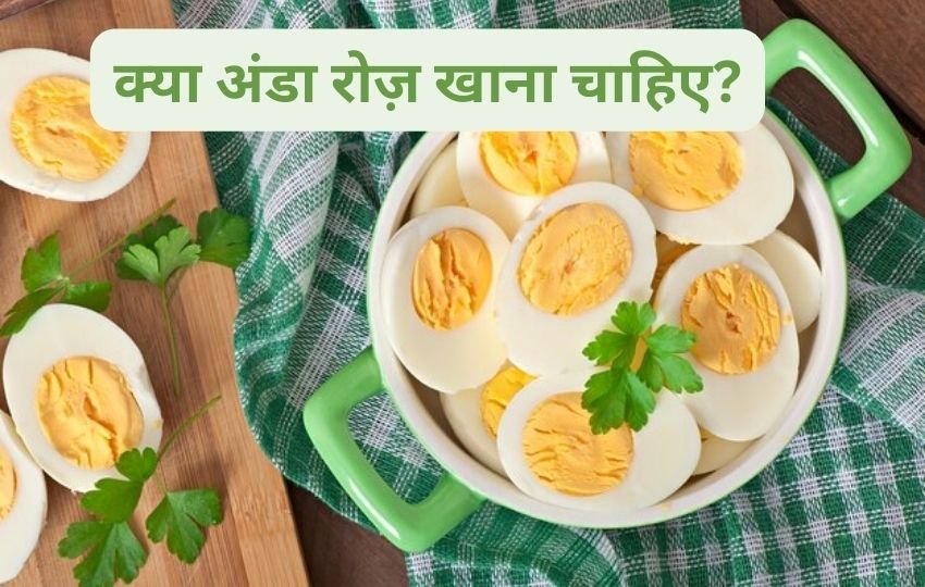nutrients in eggs, Egg khane ke kya hain nuksan,अंडे का कितना सेवन करना चाहिए, अंडे के फायदे और नुकसान, कितने अंडे का सेवन एक दिन में करना चाहिए
