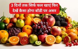 अगर आप 72 घंटों तक सिर्फ फ्रूट्स खाएं तो आपकी बॉडी पर कैसा असर दिखेगा, एक्सपर्ट से जानिए