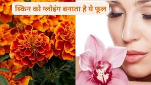 beauty tips glowing skin, skin care tips, genda ka phool, marigold face mask, marigold beauty benefits, गेंदें का फूल,