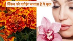चेहरे पर नेचुरल तरीके से ग्लो लाता है इस फूल का मास्क, स्किन दिखती है खिल-खिली, जानिए इस्तेमाल का तरीका