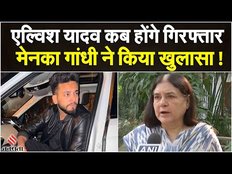 Rave Party वाले मामले Elvish Yadav की मुश्किलें बढ़ी,मेनका गांधी ने बताया क्यों होंगे गिरफ्तार