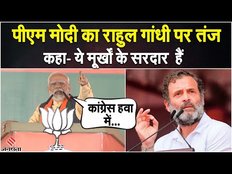 MP Election 2023: पीएम मोदी का राहुल गांधी पर कसा तंज, बताया मूर्खों के सरदार